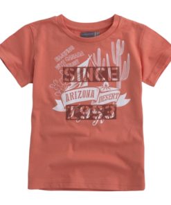 camiseta algodon manga corta naranja coral desert canada house moda ninos infantil T9JO2413 648TCC 247x296 - Camiseta Desert
