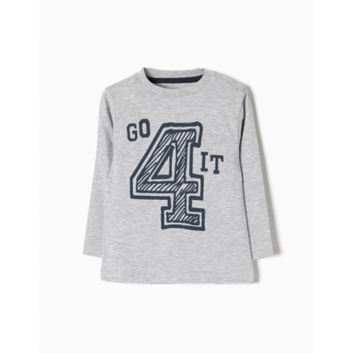 camiseta gris zippy niño manga larga primavera entretiempo moda infantil 510x510 - Camiseta Go 4 It