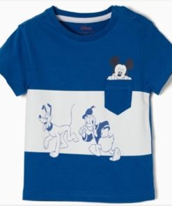 camiseta niño mickey mousse pluto donald zippy moda infantil primavera talaveradelareina 247x296 - Camiseta Mickey, Donald y Pluto