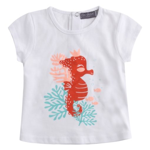 camiseta algodon verano moda infantil nina bbseahorse caballito de mar T9BA4108 000TCC 510x510 - Camiseta BBSeahorse