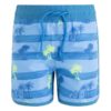 banador paradise nino bermudas boxer canada house moda infantil rebajas verano playa piscina 100x100 - Bermuda verde