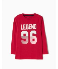 camiseta algodon manga larga entretiempo zippy moda infantil nino rojo 137497 large 247x296 - Camiseta Legend 96