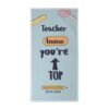 toalla de rizo de algodon personalizada con nombre regalo fin de curso profesores entrenador regalos originales 16 100x100 - Toalla playa sin profes como tú